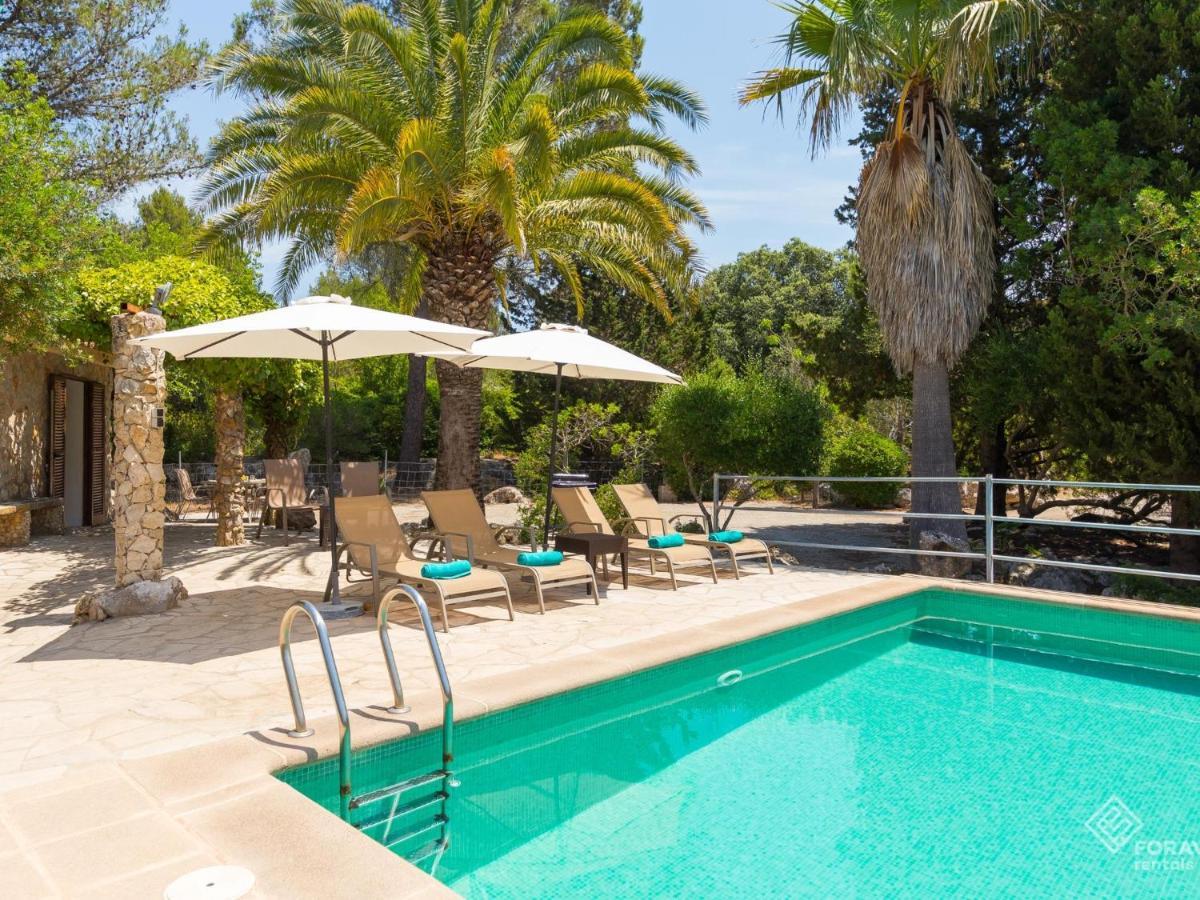 Company Villa Campanet